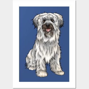 Cute Pyrenean Shepherd Dog | Sheepdog Posters and Art